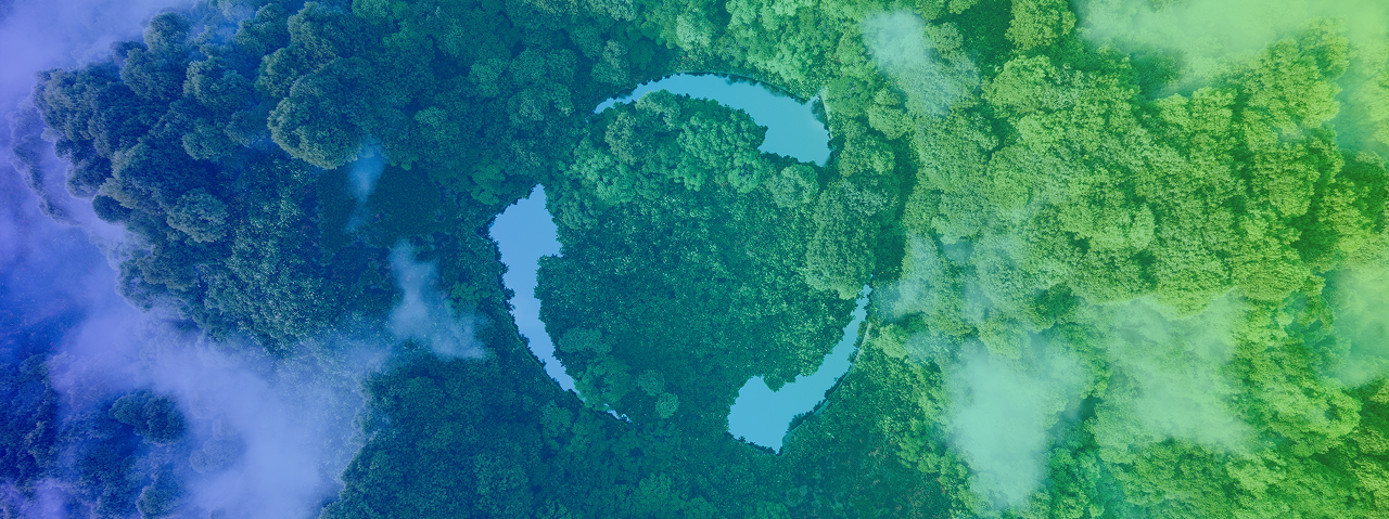 background-Ecology